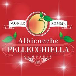 Pellecchiella Monte Somma, Somma Vesuviana orari di apertura