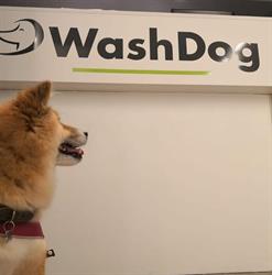 Wash Dog Pesaro, orari di apertura