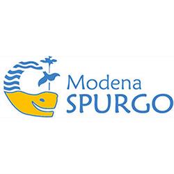 Modena Spurgo, orari di apertura