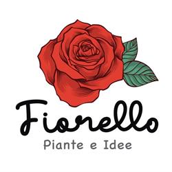 Fiorello Piante e Idee, Ladispoli orari di apertura