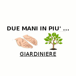 Due mani in più, Cassino orari di apertura