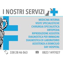 Ambulatorio veterinario San Prisco vet, orari di apertura