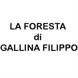La Foresta, Carini orari di apertura