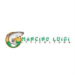 Itticoltura di Mancino Luigi, Tito orari di apertura