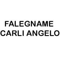 Il Falegname Comacchio, San Giuseppe - Orari di apertura