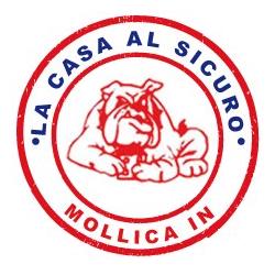 Traslochi Mollica La Casa al Sicuro, Torino orari di apertura