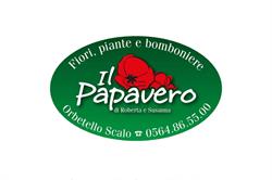 Fiori - Piante e Bomboniere Il Papavero, Orbetello orari di apertura