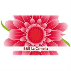 B&B La Camelia Bed and Breakfast, Messina orari di apertura