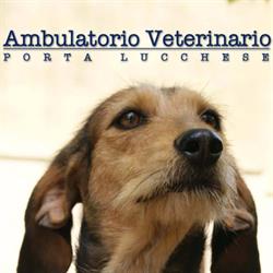 Ambulatorio Veterinario Porta Lucchese, Pistoia orari di apertura