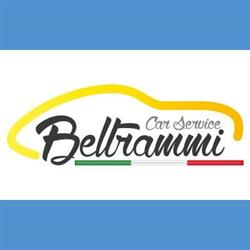 Beltrammi Car Service Di Beltrammi Mirko & C. Snc, Villa Cortese orari di apertura
