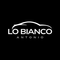 Lo Bianco - Peugeot Citroen - Centro Servizi Auto Lo Bianco, Paola orari di apertura