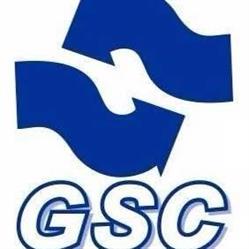 Gsc Ricambi S.r.l., Viareggio orari di apertura