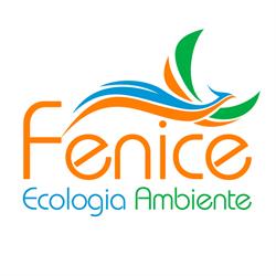 Fenice, Robecchetto con Induno orari di apertura