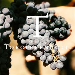 TORCIBRENCOLI SOCIETA' AGRICOLA S.S., Greve in Chianti orari di apertura