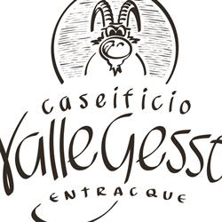 CASEIFICIO VALLE GESSO DI AIME WALTER, Entracque orari di apertura