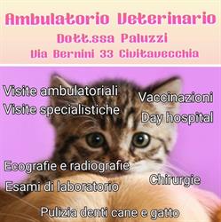 AMBULATORIO VETERINARIO DOTT.SSA ILARIA SILVIA PALUZZI, Civitavecchia orari di apertura