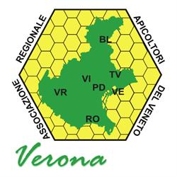 Associazione Regionale Apicoltori del Veneto - Verona, orari di apertura