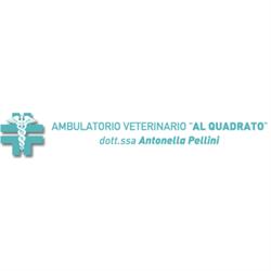 Ambulatorio Veterinario al Quadrato Valeggio, Valeggio sul Mincio orari di apertura