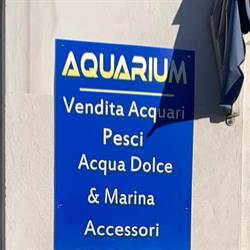 Abissi Di Atlantide Pinerolo, orari di apertura
