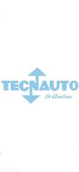 Tecnauto S.A.S. di Audino Leonardo & C., Torino orari di apertura