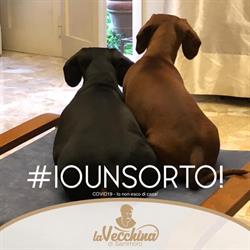 Ambulatorio Veterinario La Castellina, Prato orari di apertura