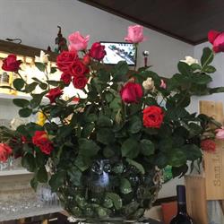 Bar Lino, Levico Terme orari di apertura