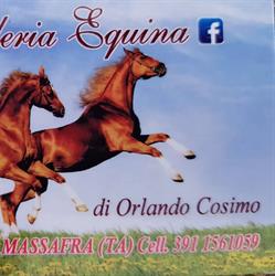 Macelleria Equina Orlando Cosimo, Massafra orari di apertura