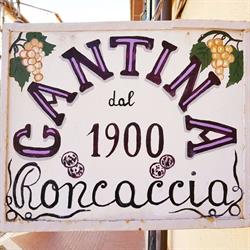 Cantina Roncaccia, Grottaferrata orari di apertura