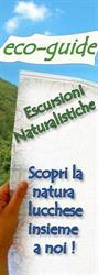 Eco-Guide, Lucca orari di apertura