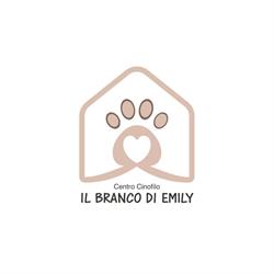 Monica Morelli Istruttore Cinofilo - Centro Cinofilo Il Branco di Emily, Fidenza orari di apertura