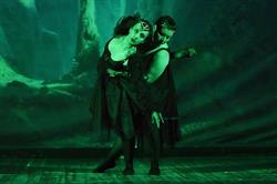 Associazione Amici della Danza, Marino orari di apertura