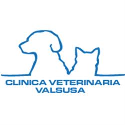 Clinica Veterinaria Valsusa, Avigliana orari di apertura
