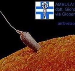 Studio Medico Veterinario Associato, Acerra orari di apertura
