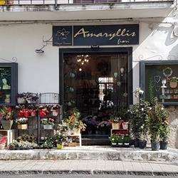 Amaryllis Fiori, Mercato San Severino orari di apertura