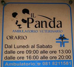 Ambulatorio Il Panda Saviano, orari di apertura