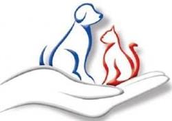Ambulatorio Veterinario Le Tre Torri di Bitritto, orari di apertura
