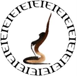 Centro Estetico Ilenia Turchetti, Pontinia orari di apertura