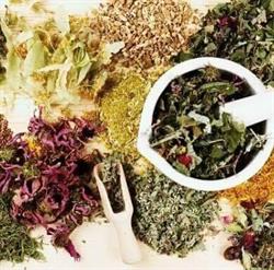 Erboristeria Le Quattro Stagioni, Canneto sull'Oglio orari di apertura