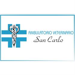 Ambulatorio Veterinario San Carlo, Lioni orari di apertura