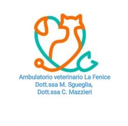 Ambulatorio Veterinario La Fenice, Castiglione del Lago orari di apertura