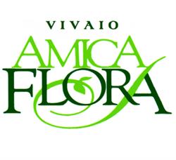 Vivaio Amica Flora Centro Valle Intelvi, Castiglione D'intelvi - Orari di apertura