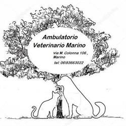 Ambulatorio Veterinario Marino, orari di apertura