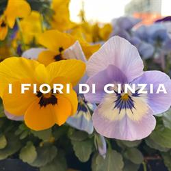 I Fiori di Cinzia, Gorgonzola orari di apertura