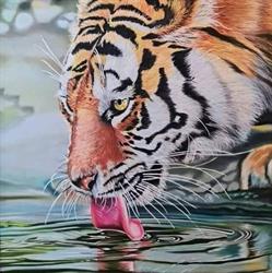 Scuola Arti Marziali La Tigre E L'Acqua, Velletri orari di apertura