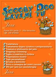 Scooby Doo Lavami Tu, Villa Verucchio orari di apertura
