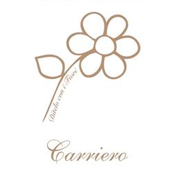 Ditelo con i Fiori, Mottola orari di apertura