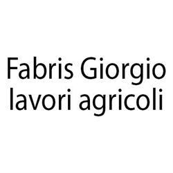 Fabris Giorgio Lavori Agricoli, Creazzo orari di apertura