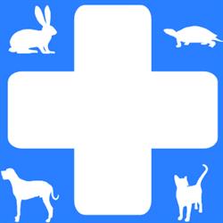 Ambulatorio veterinario Usmate, Velate orari di apertura