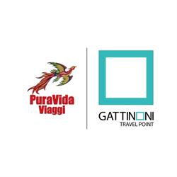 PURAVIDA VIAGGI SRL, Poggibonsi orari di apertura