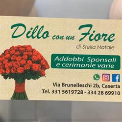 Dillo Con Un Fiore Di Natale Stella, Caserta orari di apertura